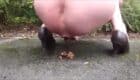 shitting pissing outdoor [scat porn]