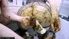 Scat Pprn Enema with a funnel up his asshole