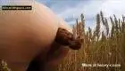 She is shitting in the grass